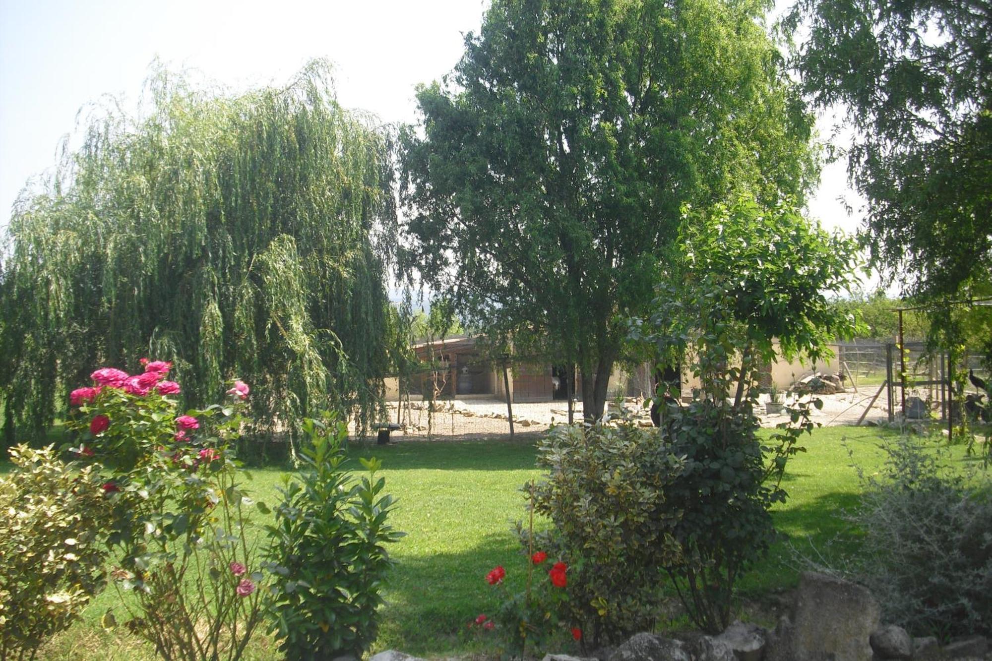 Lou Mas Li Pitchoun "Le Prunier " Apartamento Gordes Exterior foto