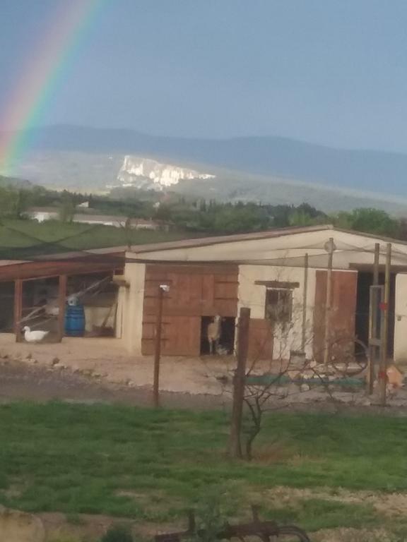 Lou Mas Li Pitchoun "Le Prunier " Apartamento Gordes Exterior foto